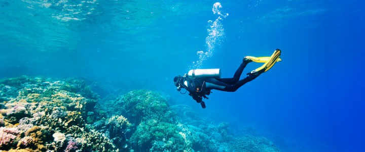 diver_reefs